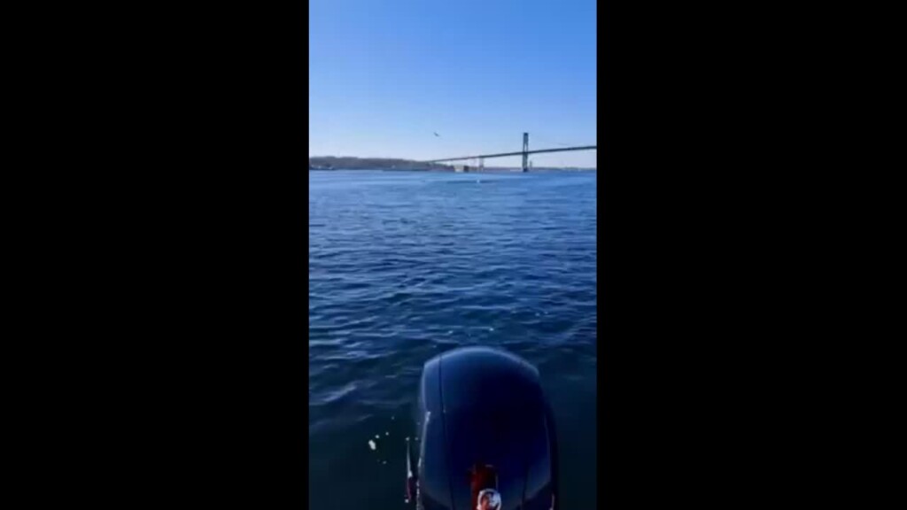 Dem Dolphins 3/21
