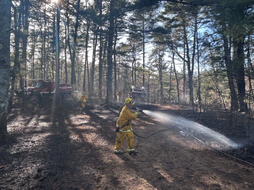 Wareham Firefighters Battle Brush Fire With Help From Neighboring ...