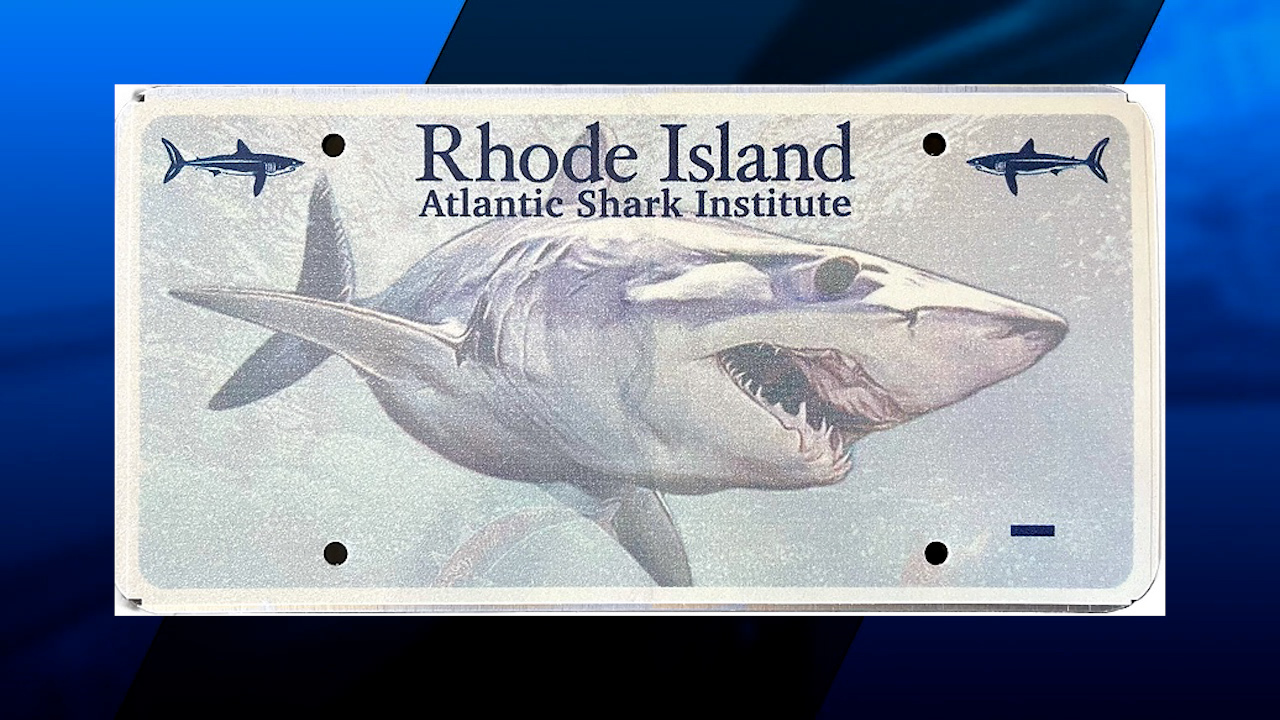 'Sharky summer season' You can now have the 'coolest license plate' in