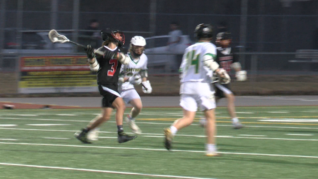 Rogers Blax 4 6