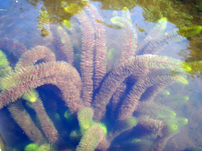 Thumbnail Image006
