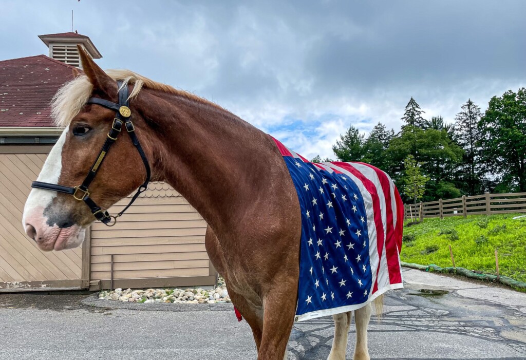 Providence Police Department mourns loss of horse | ABC6