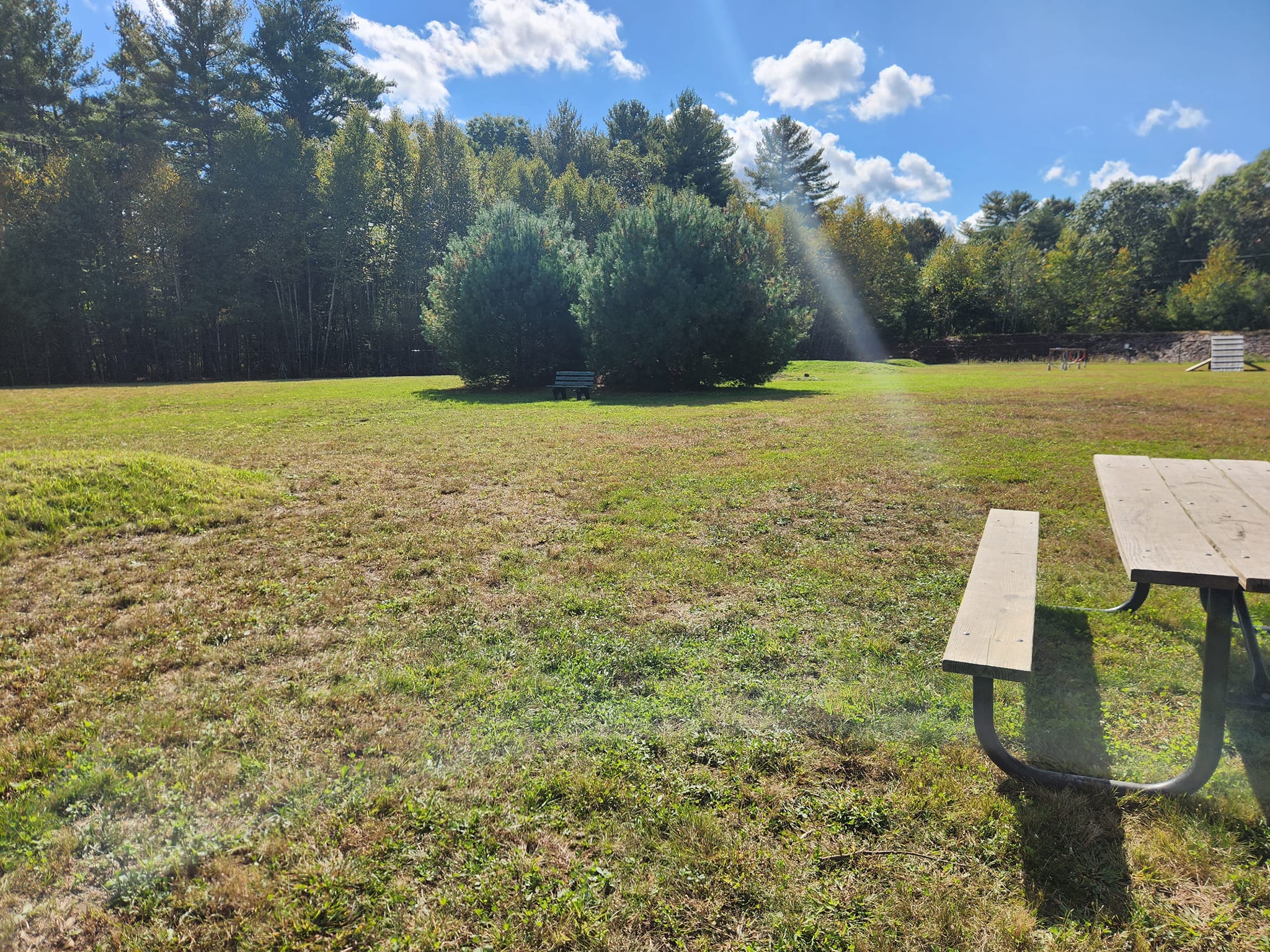 Town of Richmond inviting residents to grand opening of new dog park ABC6