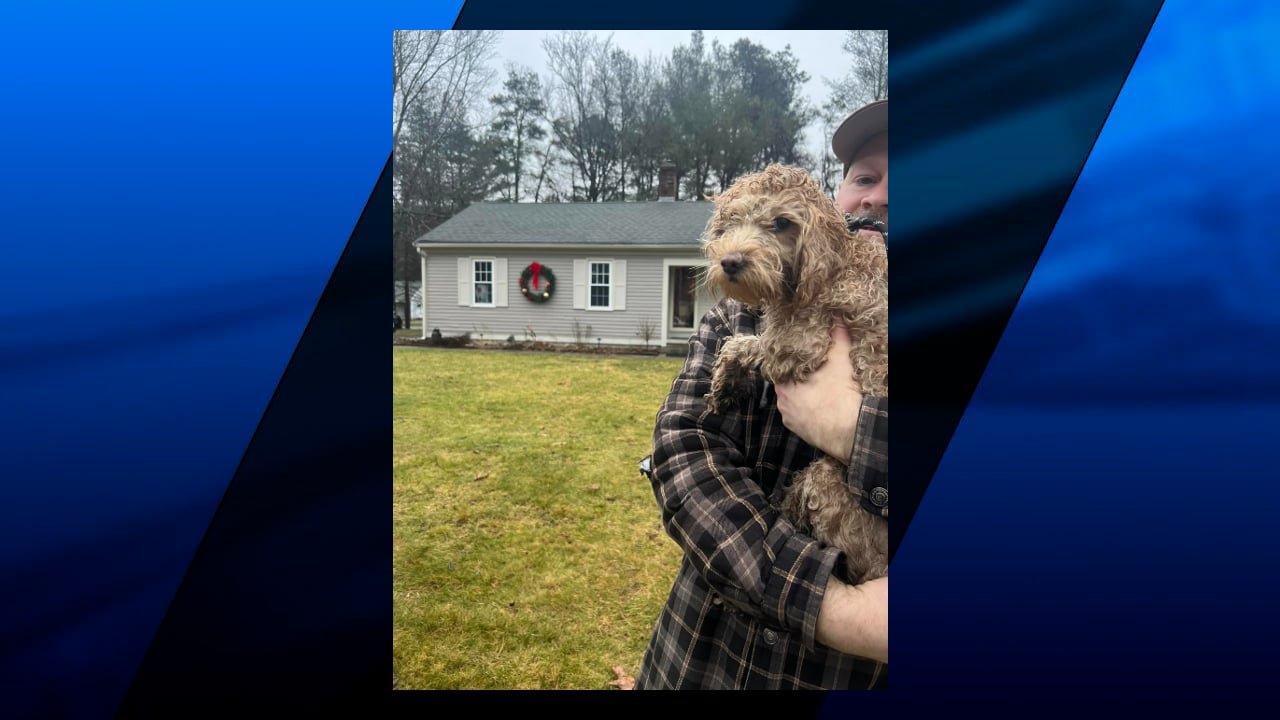 Cumberland Animal Control rescues dog from island ABC6