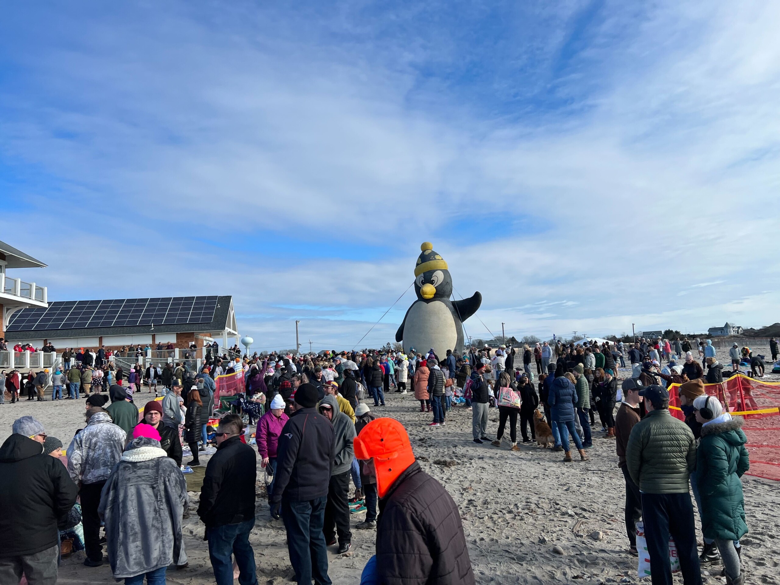 Special Olympics Rhode Island holds 48th annual Penguin Plunge ABC6