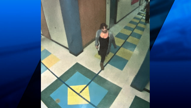 Missing Girl 20