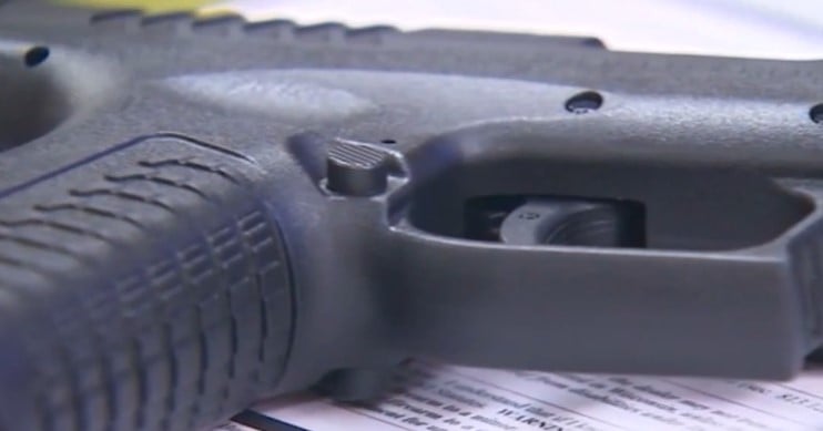 Gun