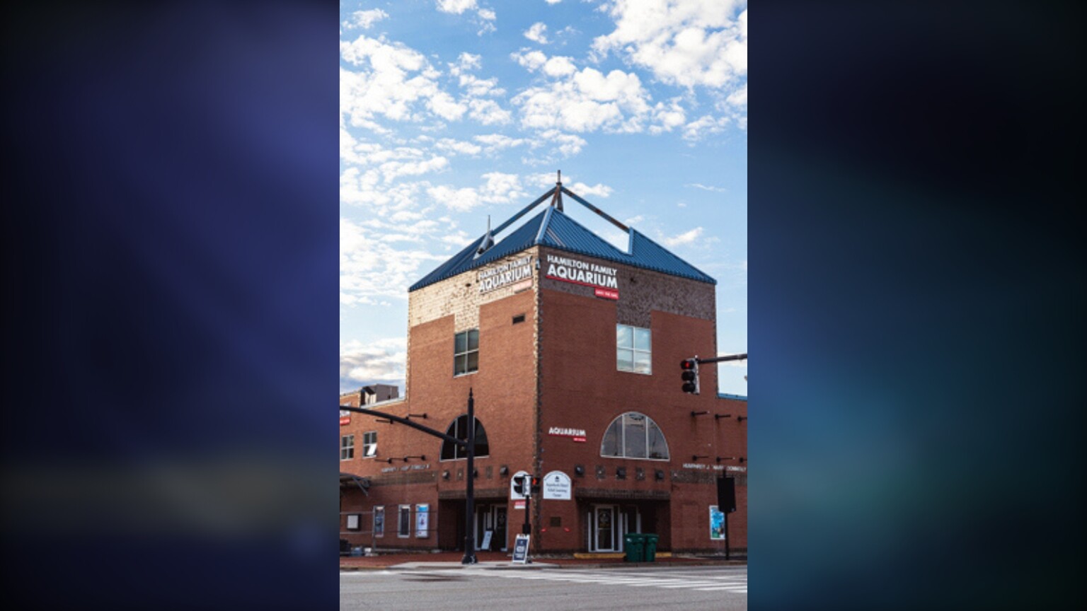 Hamilton Family Aquarium to open in Newport ABC6