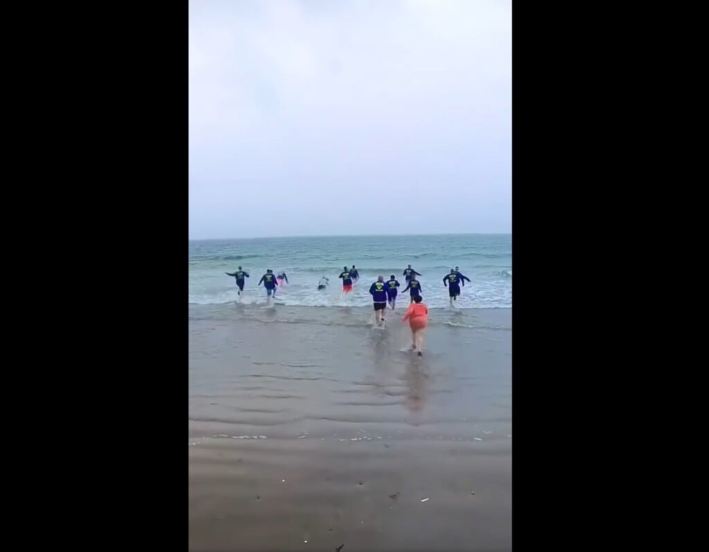 Plunge
