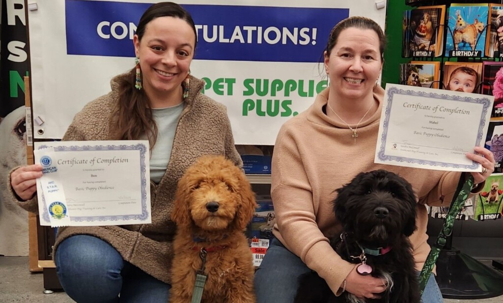 Thumbnail Akc Star Puppy Program Graduates