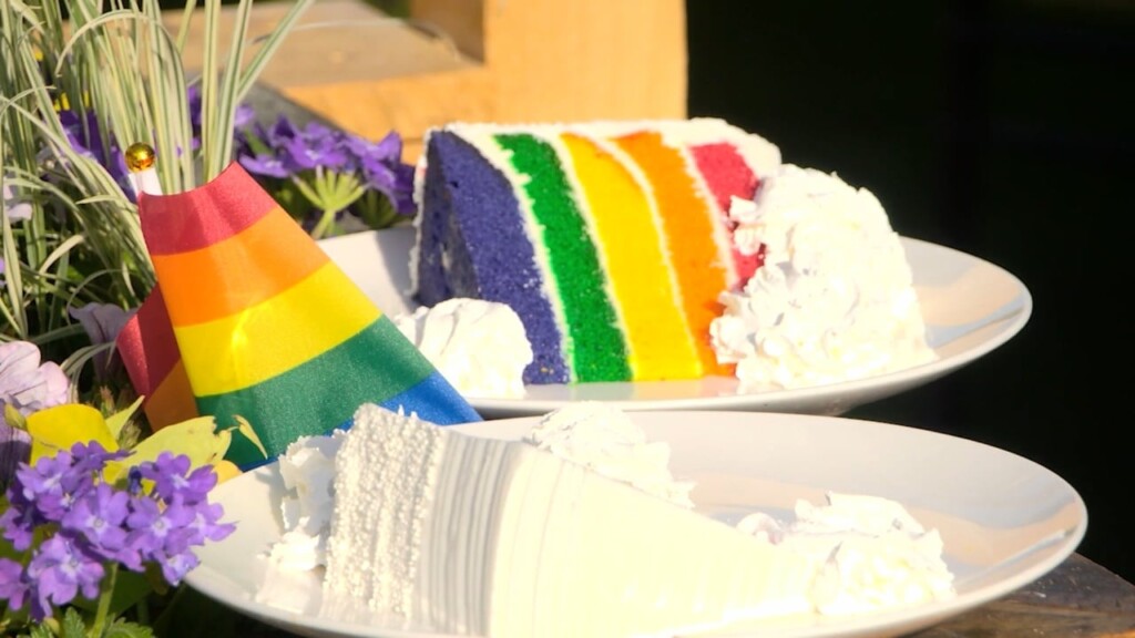 Restaurant Group Offers Rainbow Cake For Pride Month, Sparks Controversy Online