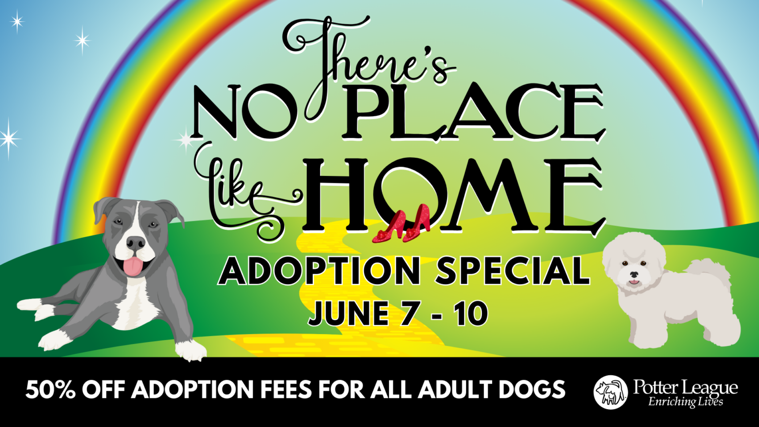 Potter League for Animals hosting halfoff adoption fee event ABC6