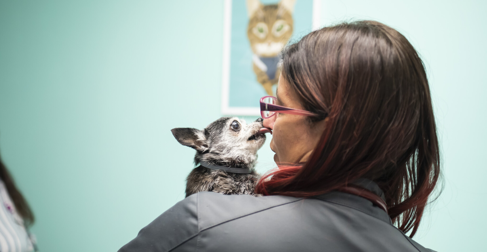 Potter League holds veterinary clinic open house ABC6
