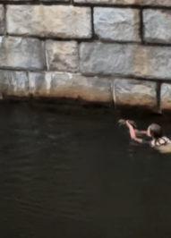 saving ferret from water fire
