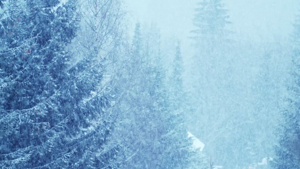 Snow 2