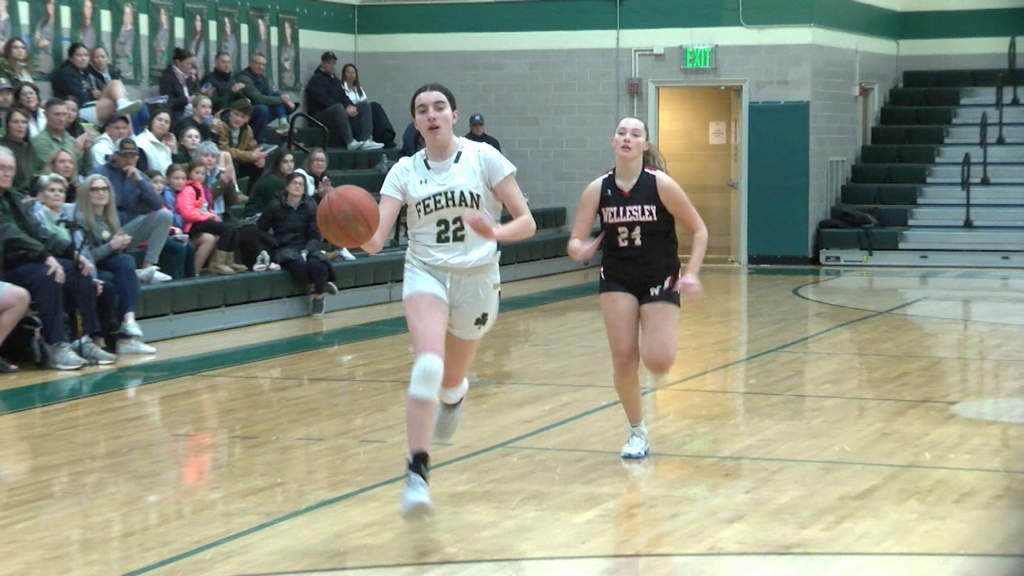 Feehan Gbb 1 21