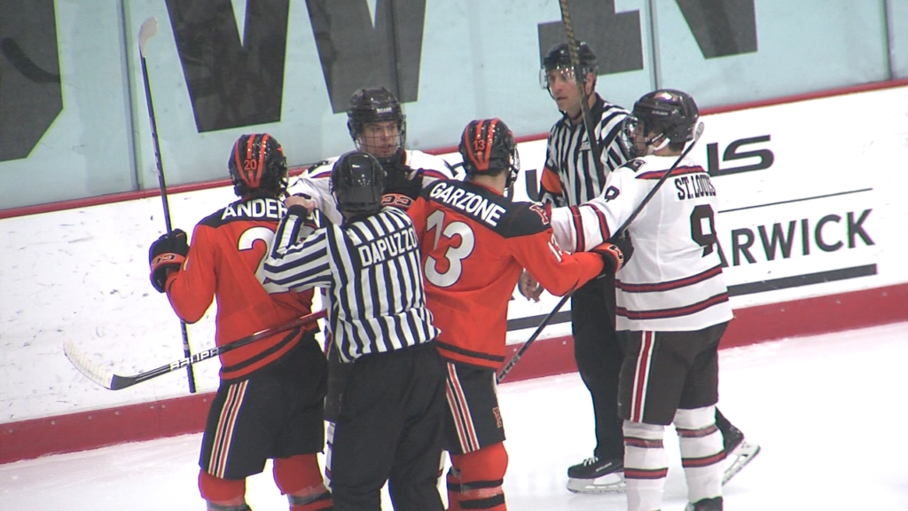 93006 Vo Brown Princeton Mhk V Isteele00 00 21 56still001