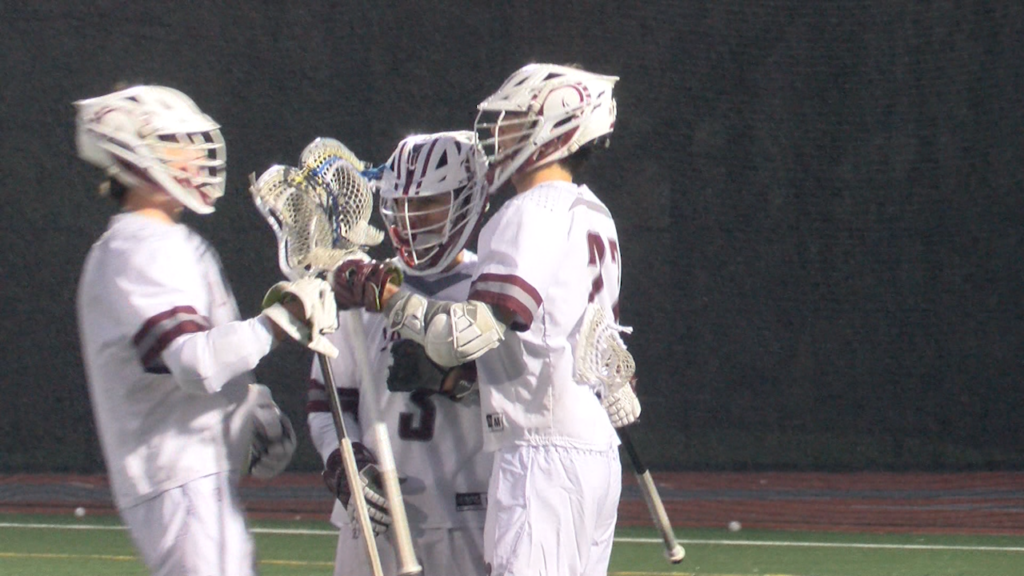 Lsa Blax 4 7