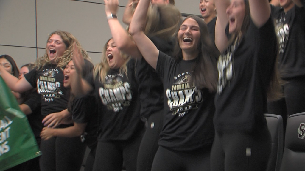 01541 Sot Brown Sb S Selection Isteele00 00 09 04still001