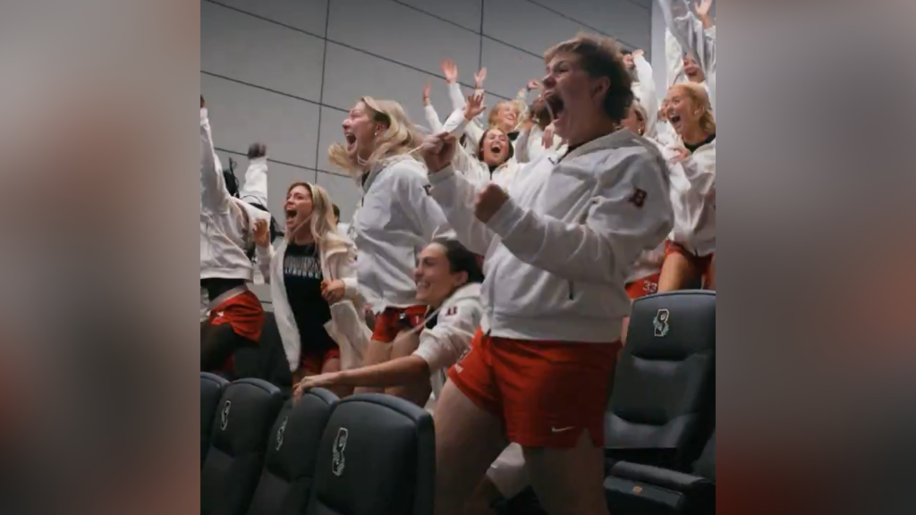 Brown Wlax 5 4