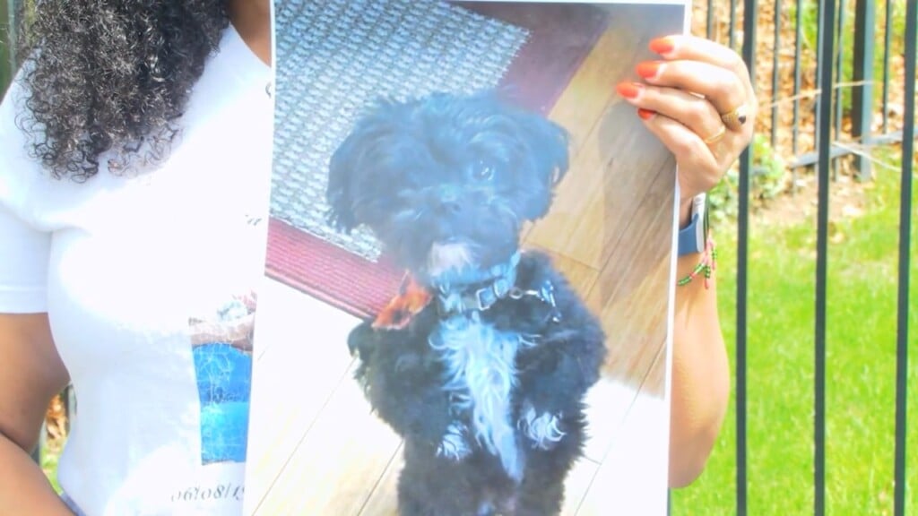 Rehoboth Family Protests After Death Of Dog