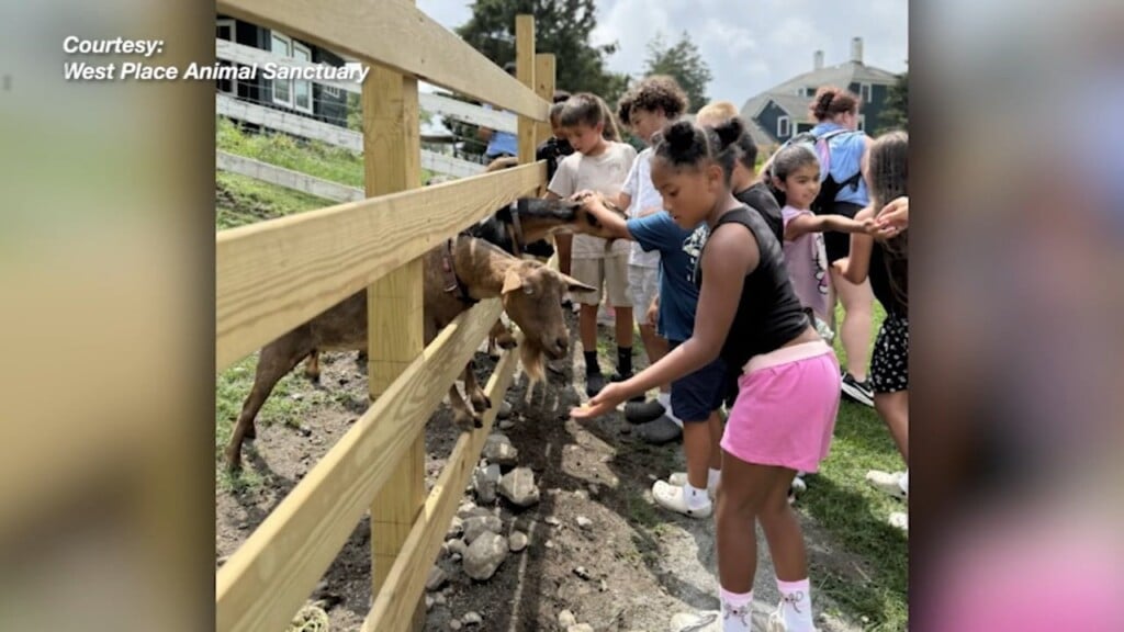 Community Center Campers To Donate Collected Supplies To Tiverton Animal Sanctuary