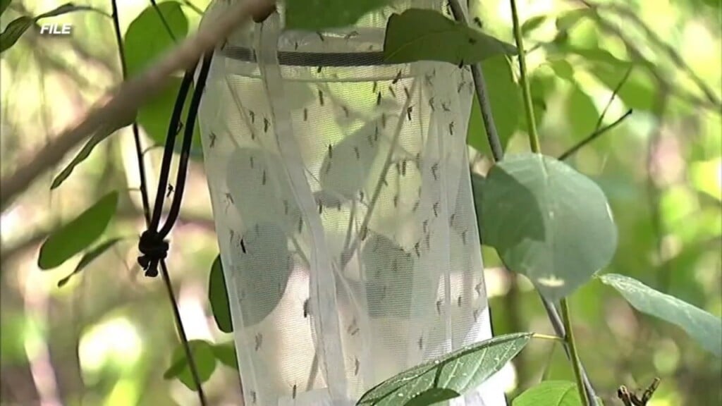 Fall River Officials Urge Residents To Take Precautions Due To Mosquito Spraying