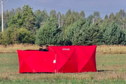 Poland Says It Shot Down Russian Drones That Violated Its Airspace During Strikes On Ukraine