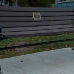 Memorial Bench Dedicated To North Kingstown Woman Struck And Killed By Drunk Driver