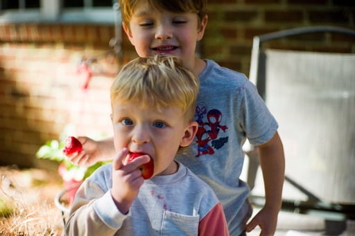 Wic Food Program Receives $300m To Keep Running During Government Shutdown