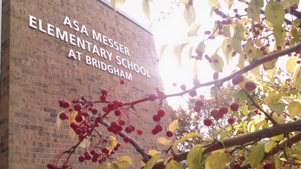 495002583 2830997283762032 960616620104756419 N