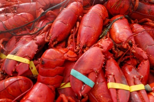 Oysters, Crab And $400,000 Worth Of Lobster Meat Stolen In New England