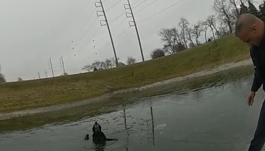 603900552 1293617236132976 8106781342517028352 N 1