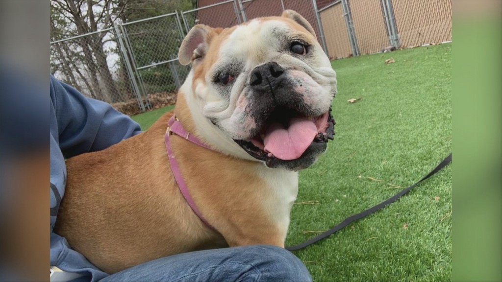 Checking In With The Rispca