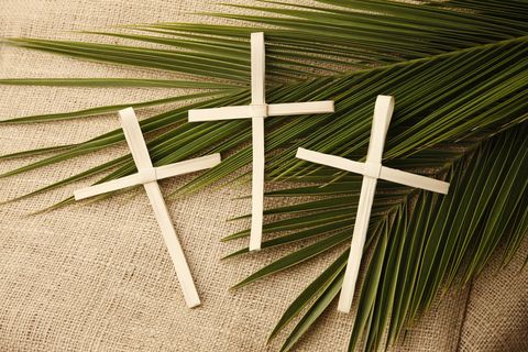 Palm Sunday