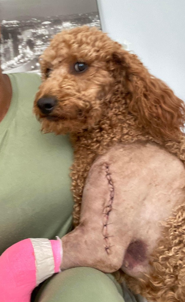 104968235 572240320385466 4862354409850844554 N(1)