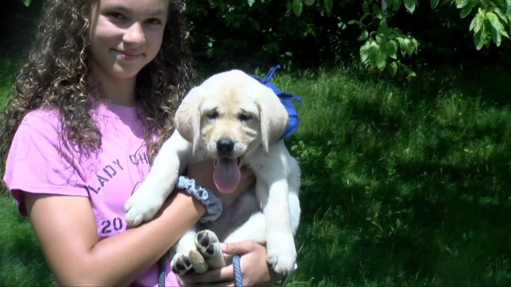 P Chariho Dog 5pm.still001