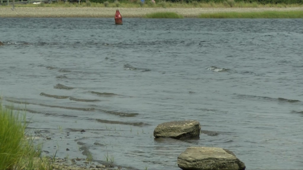 Bristoldrowningp.still001