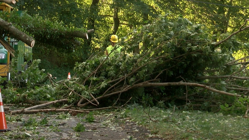 P South County.still001