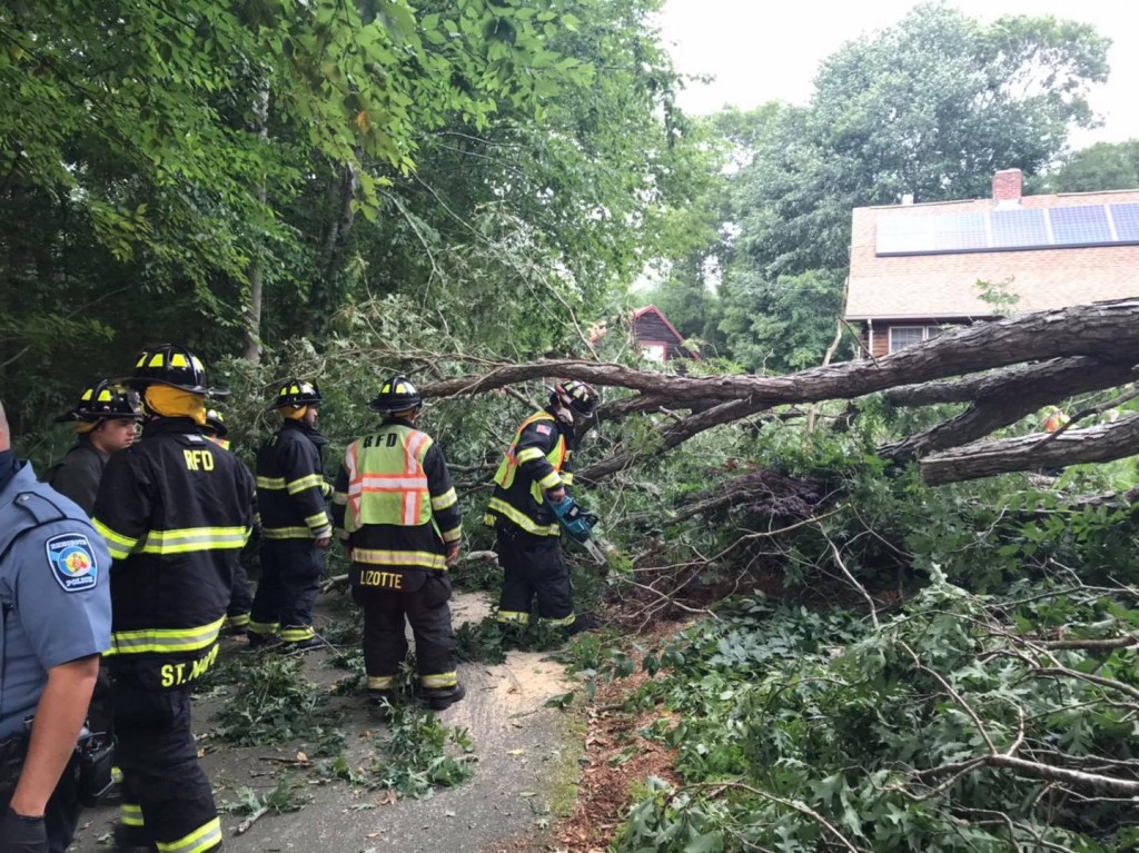 Rehoboth Man V Tree 1