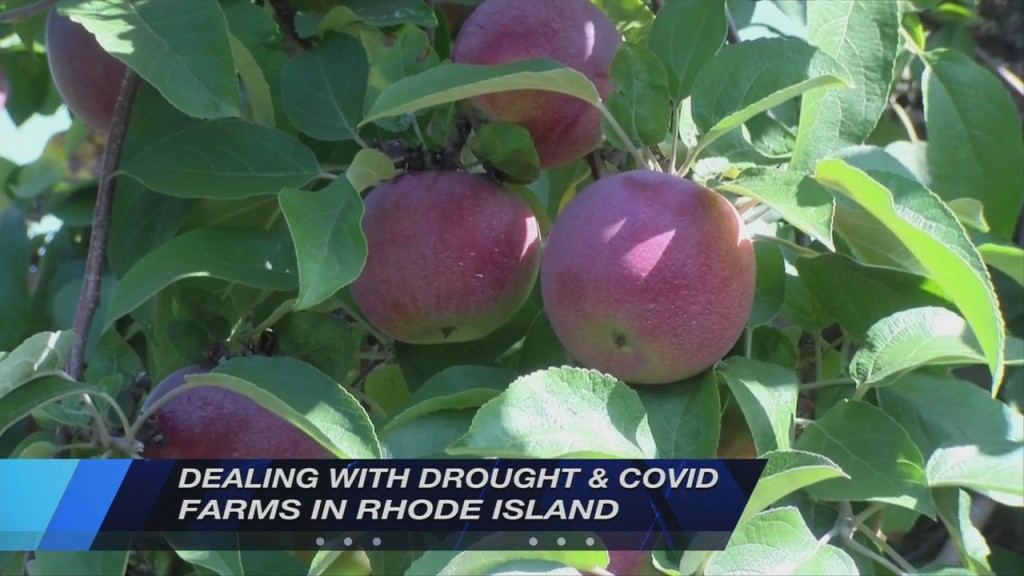 Farms Dealt Double Whammy: Covid & Drought