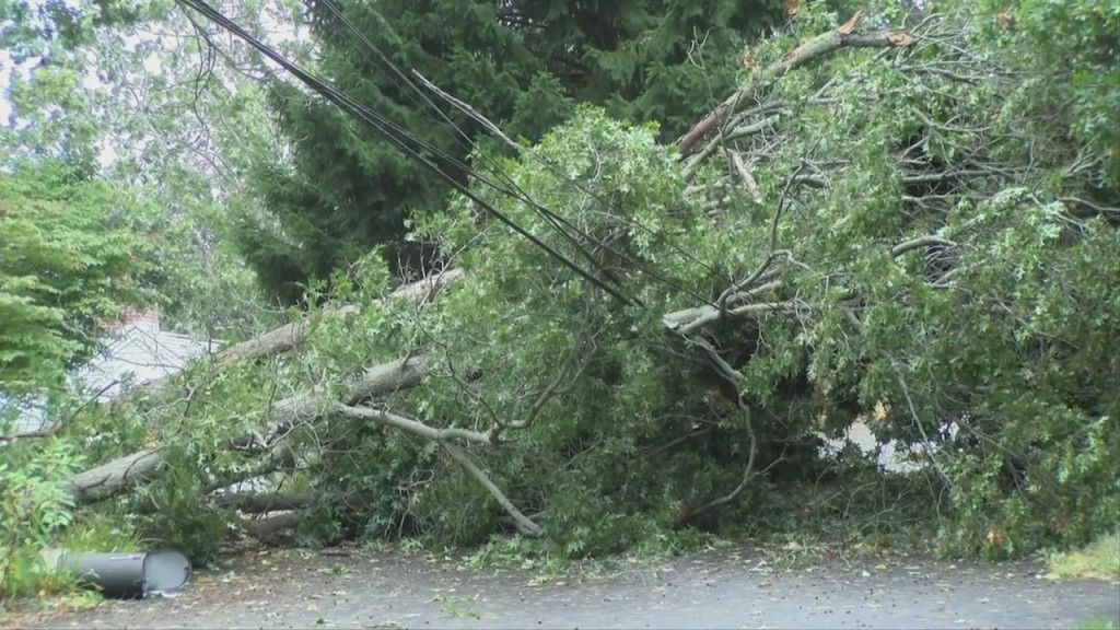 Massachusetts: Early Morning Strong Winds Topple Trees, Knock Out Power