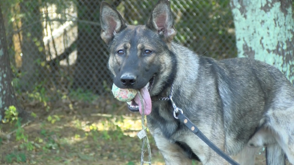 281g2881.mov.still001