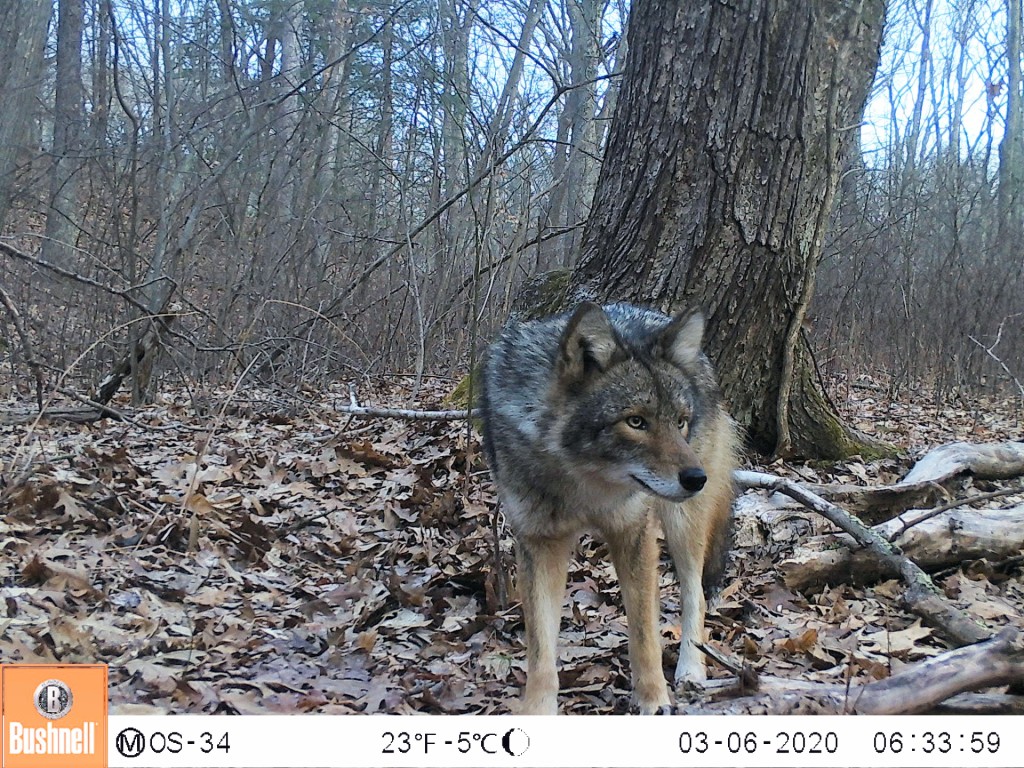 M2e94a1l121 93.5339965 93.5339965