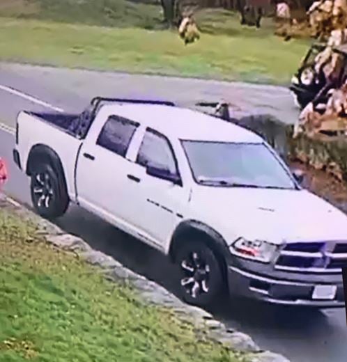 130040005 3782047018494853 7622534933303025337 N