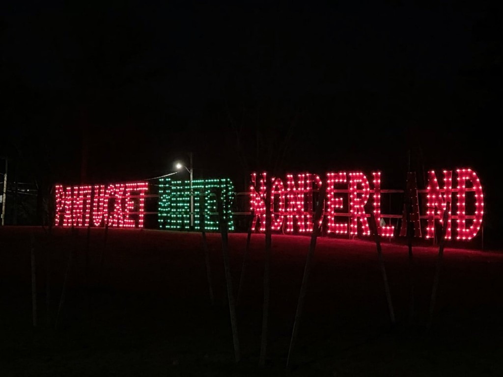 130854056 3697578403596651 1172236547030277584 O