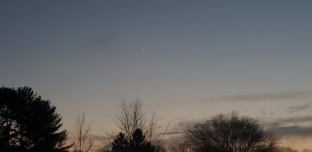 Tim S Christmas Star