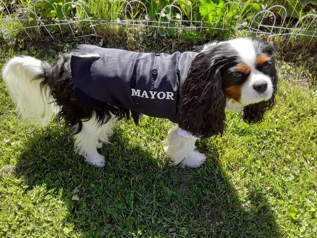 104055514 147140476921773 4416826986017415652 O