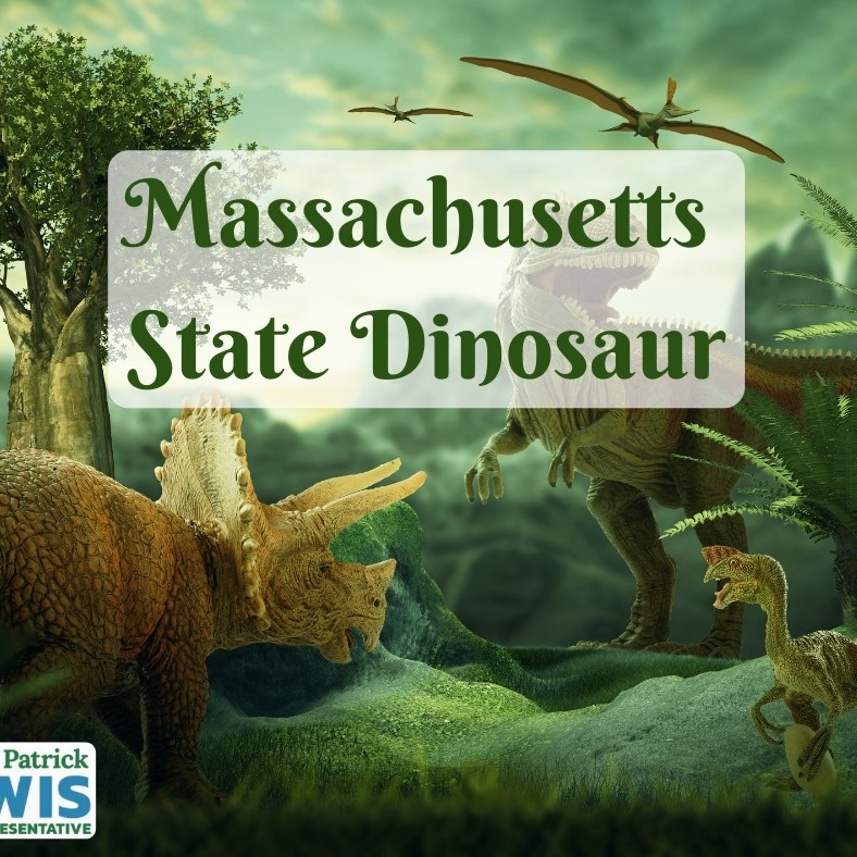 135011364 106410751393319 413560205863044227 N