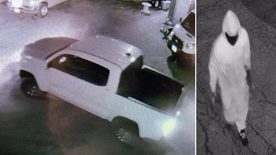 Newport Theft Picture